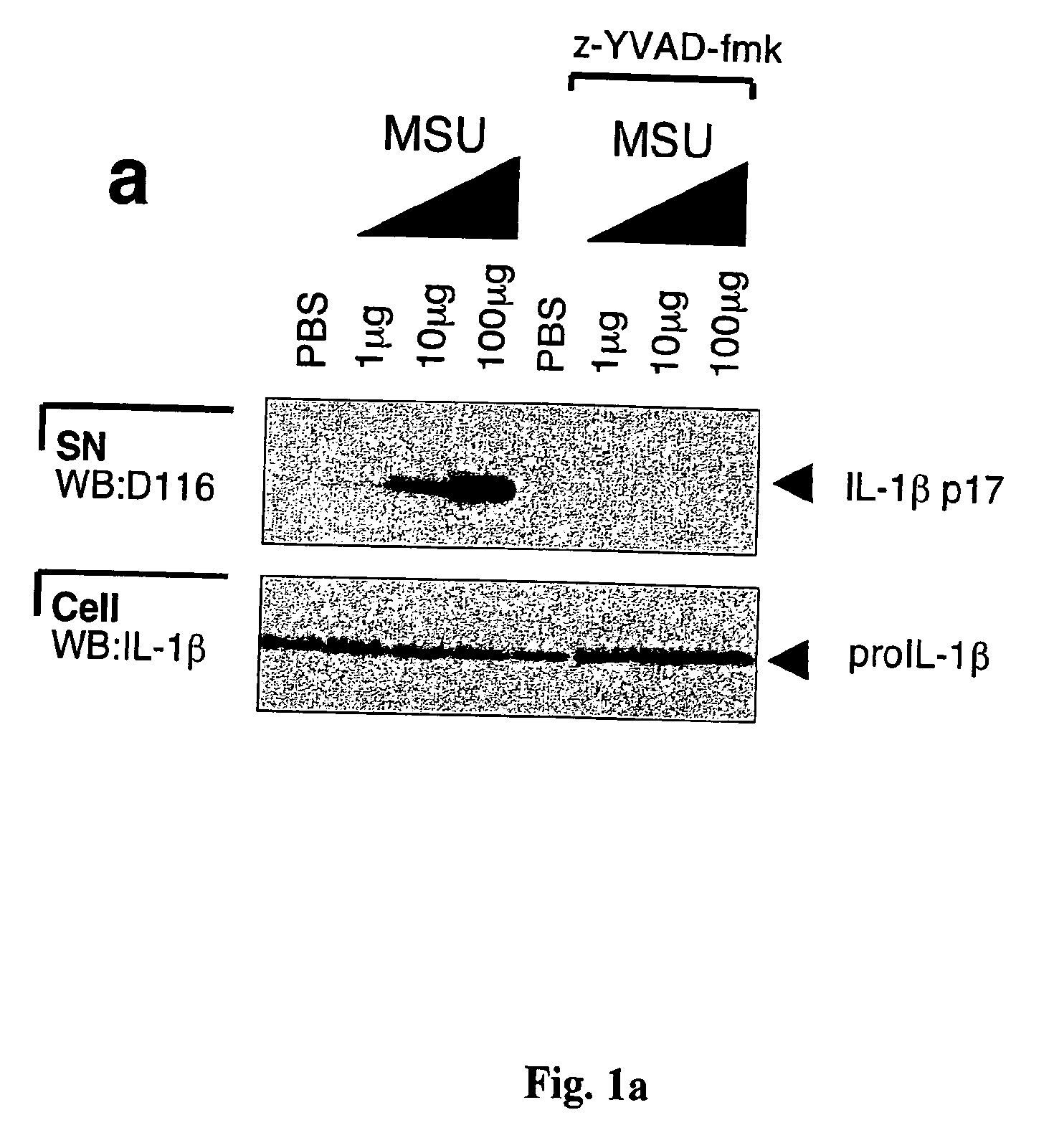 Method for the treatment of gout or pseudogout