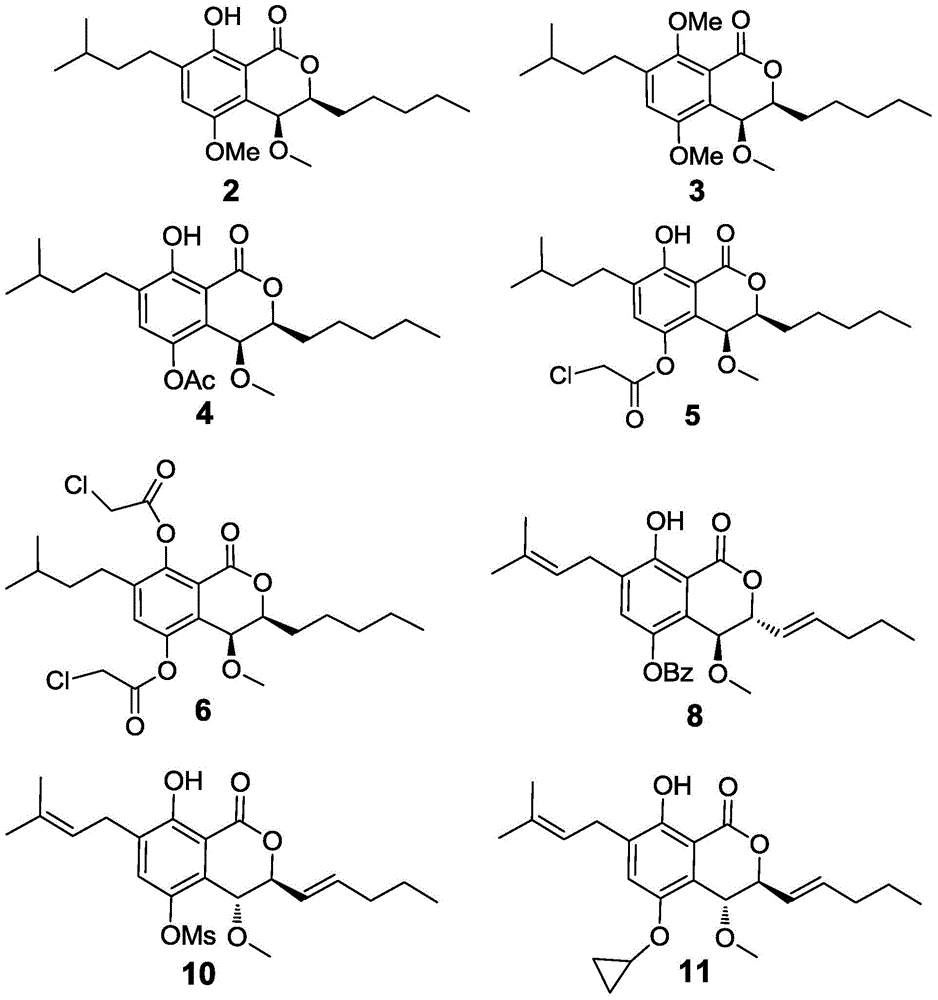 Derivatives of marine fungal secondary metabolites and their application as anti-mrsa drugs
