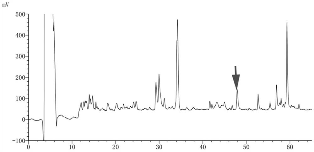 A kind of skin protection peptide hw-p1 and its preparation method and application