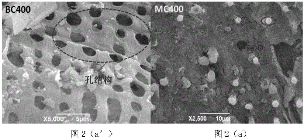 Preparation method for magnetic biological carbon by one-step synthesis