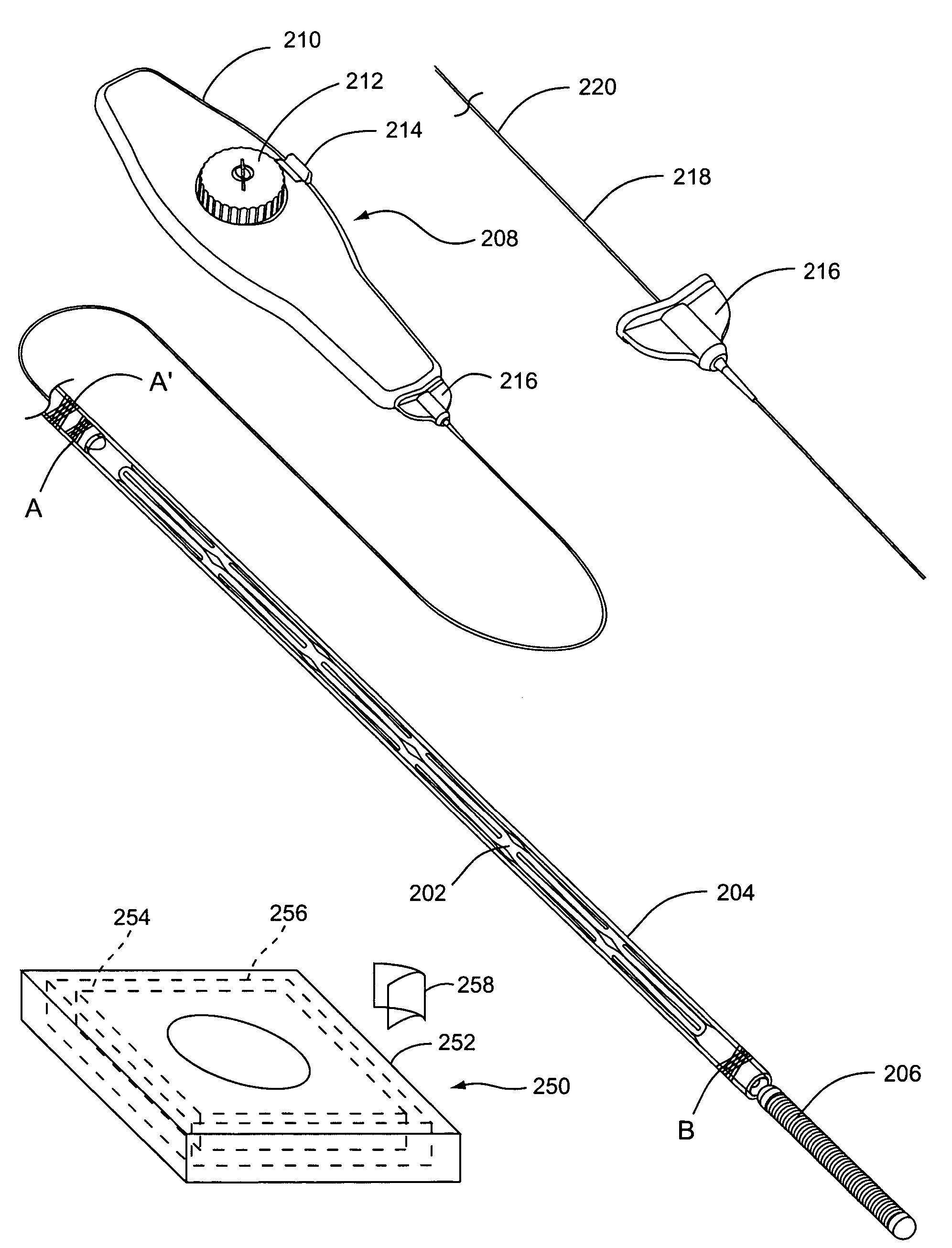 Stent delivery system with diameter adaptive restraint