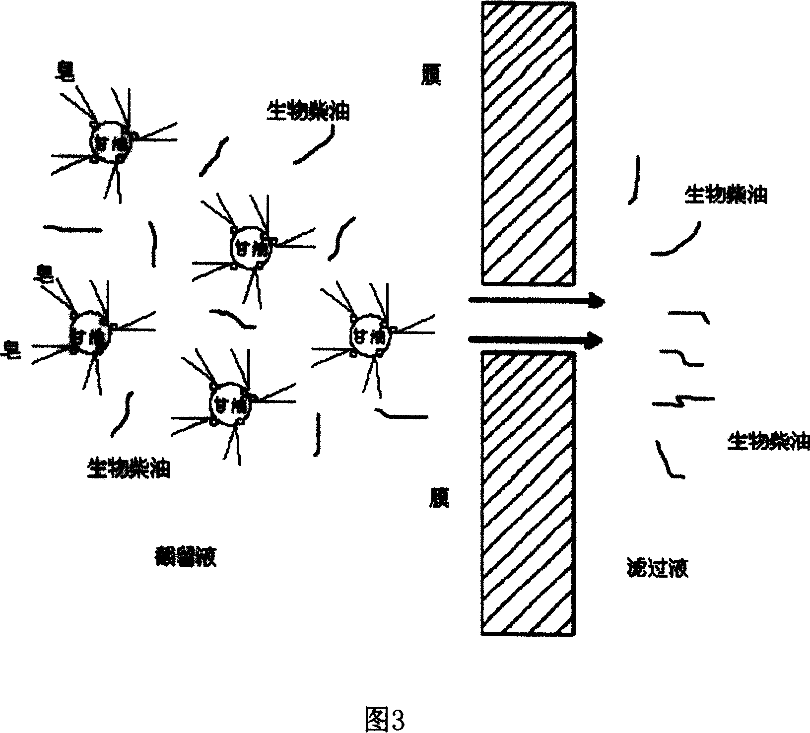 Method of removing soap and dissociative glycerin in biological diesel oil