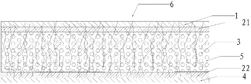 Disposable health substrate and application thereof
