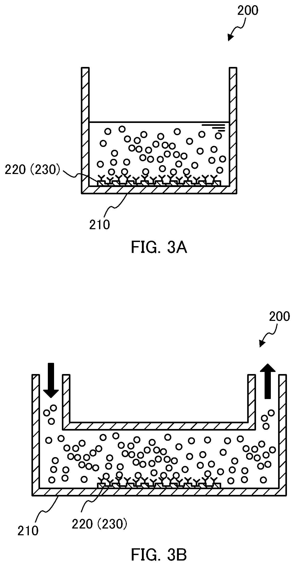 Surface plasmon-enhanced fluorescence measurement device and surface plasmon-enhanced fluorescence measurement method