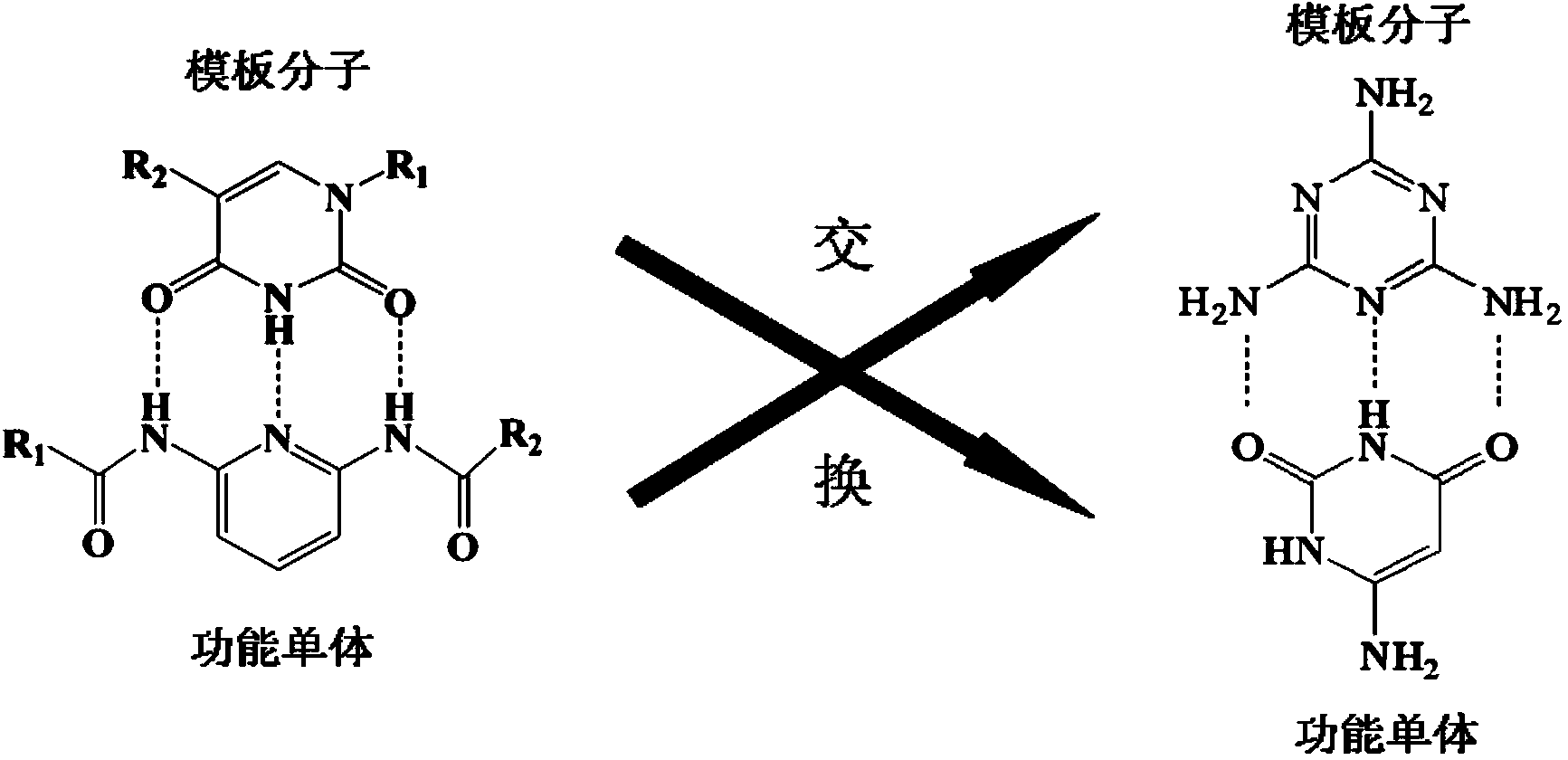Multi-hydrogen-bond melamine core-shell molecularly imprinted polymer and preparation method thereof