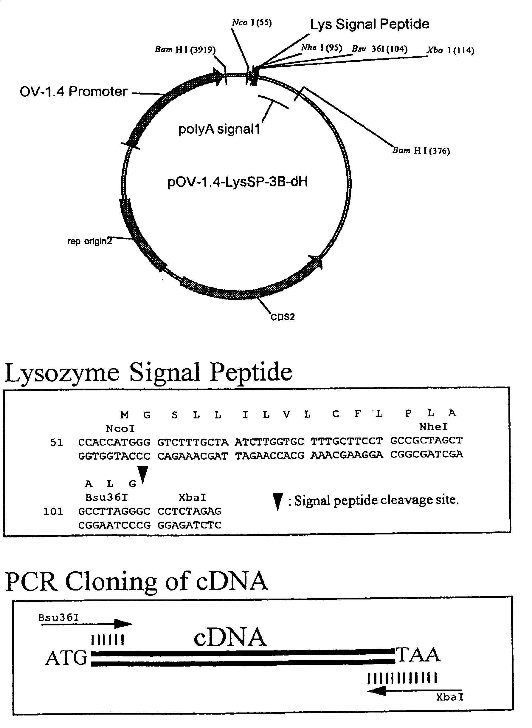 Glycosylated interferon alpha