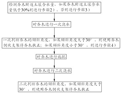 Arbor fertilization method for landscaping