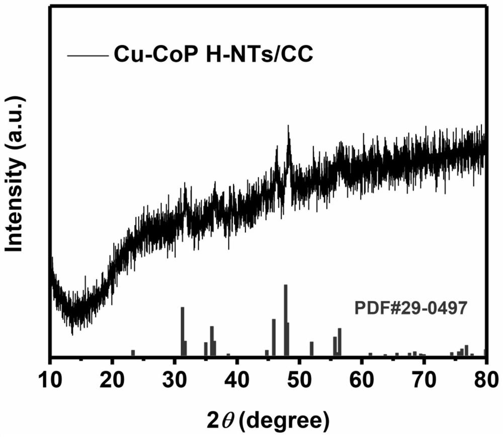 Copper-doped cobalt phosphide bifunctional water electrolysis catalytic material in hollow nanotube structure