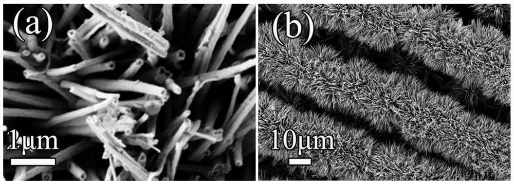 Copper-doped cobalt phosphide bifunctional water electrolysis catalytic material in hollow nanotube structure