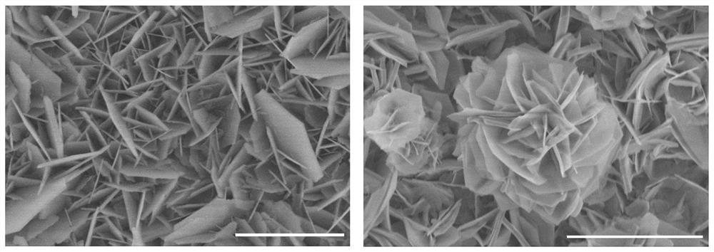 A kind of efficient nitrogen reduction cobalt manganese oxide catalyst and preparation method thereof