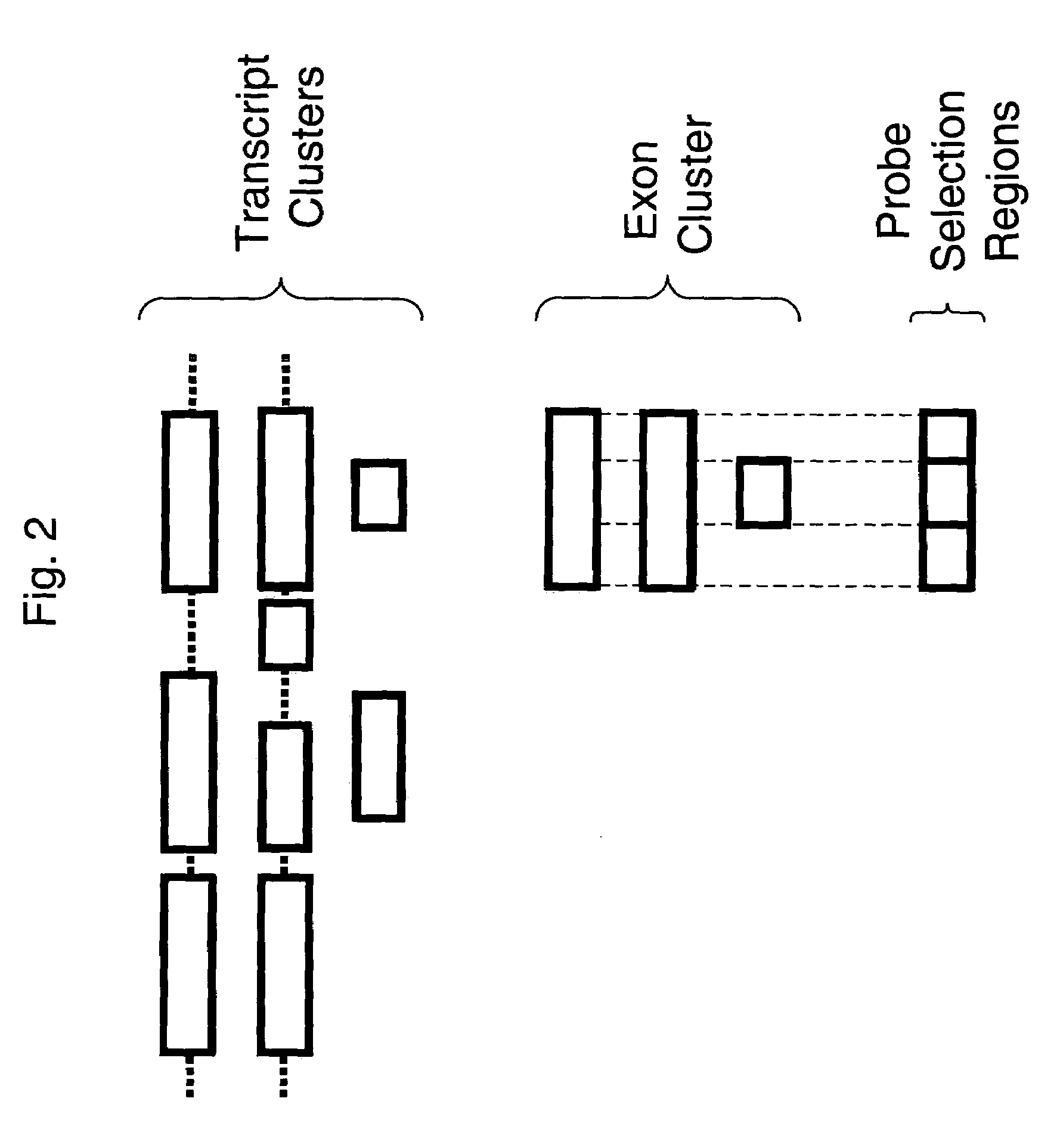 Methods of analysis of alternative splicing in mouse