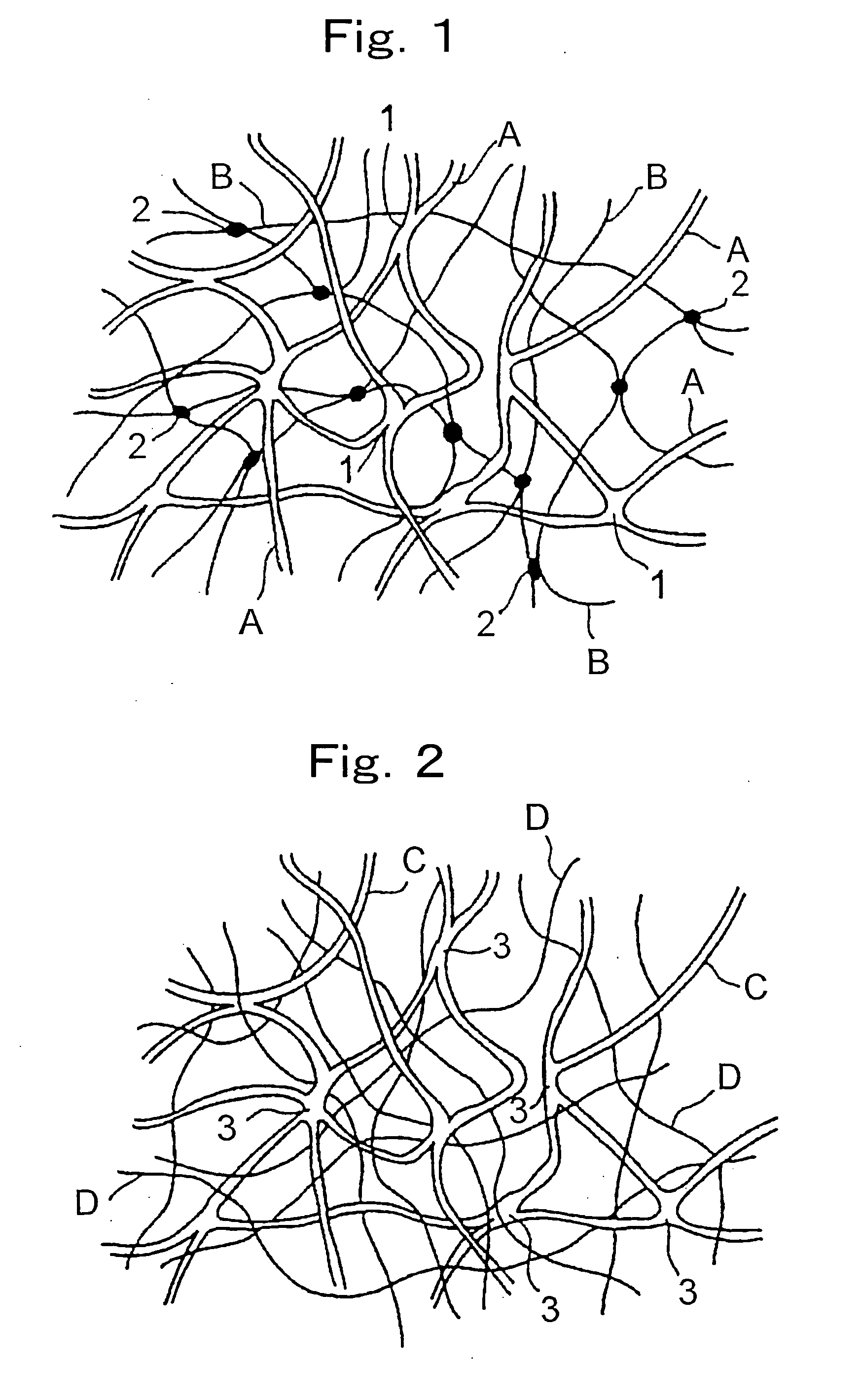 Hydrogel of (semi) interpenetrating network structure and process for producing the same