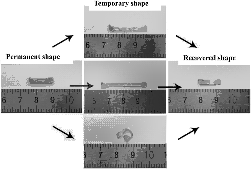Preparation method of poly(sebacoyl diglyceride) shape memory elastomer