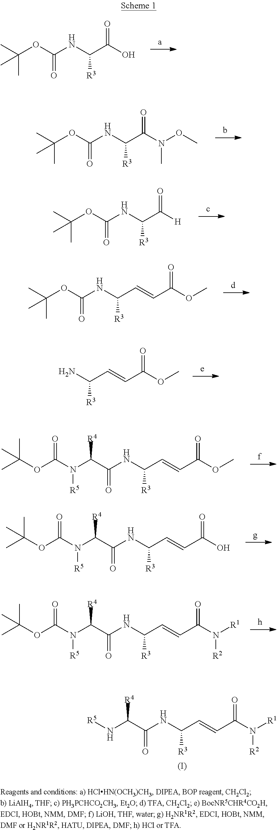 Cathepsin c inhibitors