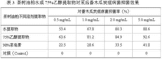 Preparation method for active mixed extract of tea tree oil meal as well as extract and application of extract