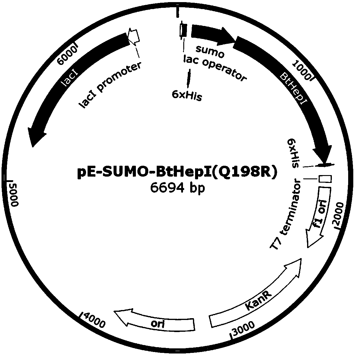 Mutant for improving thermal stability of heparinase I by enzyme flexibility analysis based on molecular dynamics and preparation method thereof