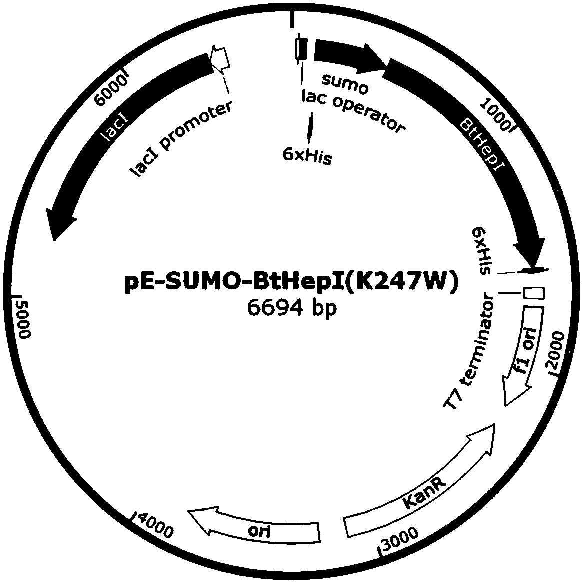 Mutant for improving thermal stability of heparinase I by enzyme flexibility analysis based on molecular dynamics and preparation method thereof