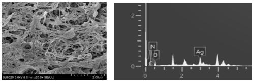 Silver-carried chitosan high-strength antibacterial material and preparation method thereof