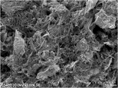 Ni for a supercapacitor  <sub>3</sub> the se  <sub>4</sub> Preparation method of nanowire