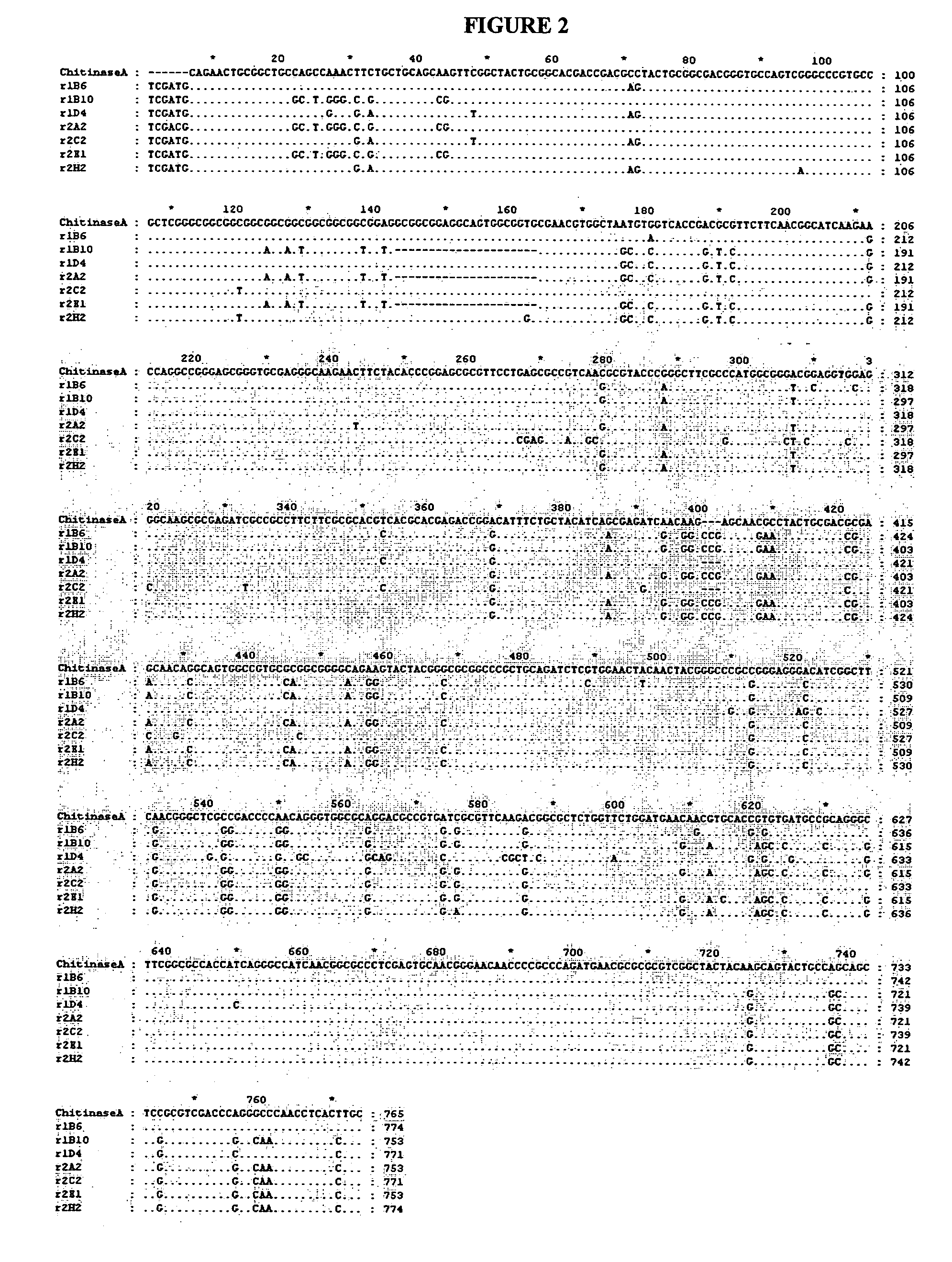 Isolated nucleic acids encoding proteins with chitinase activity and uses thereof