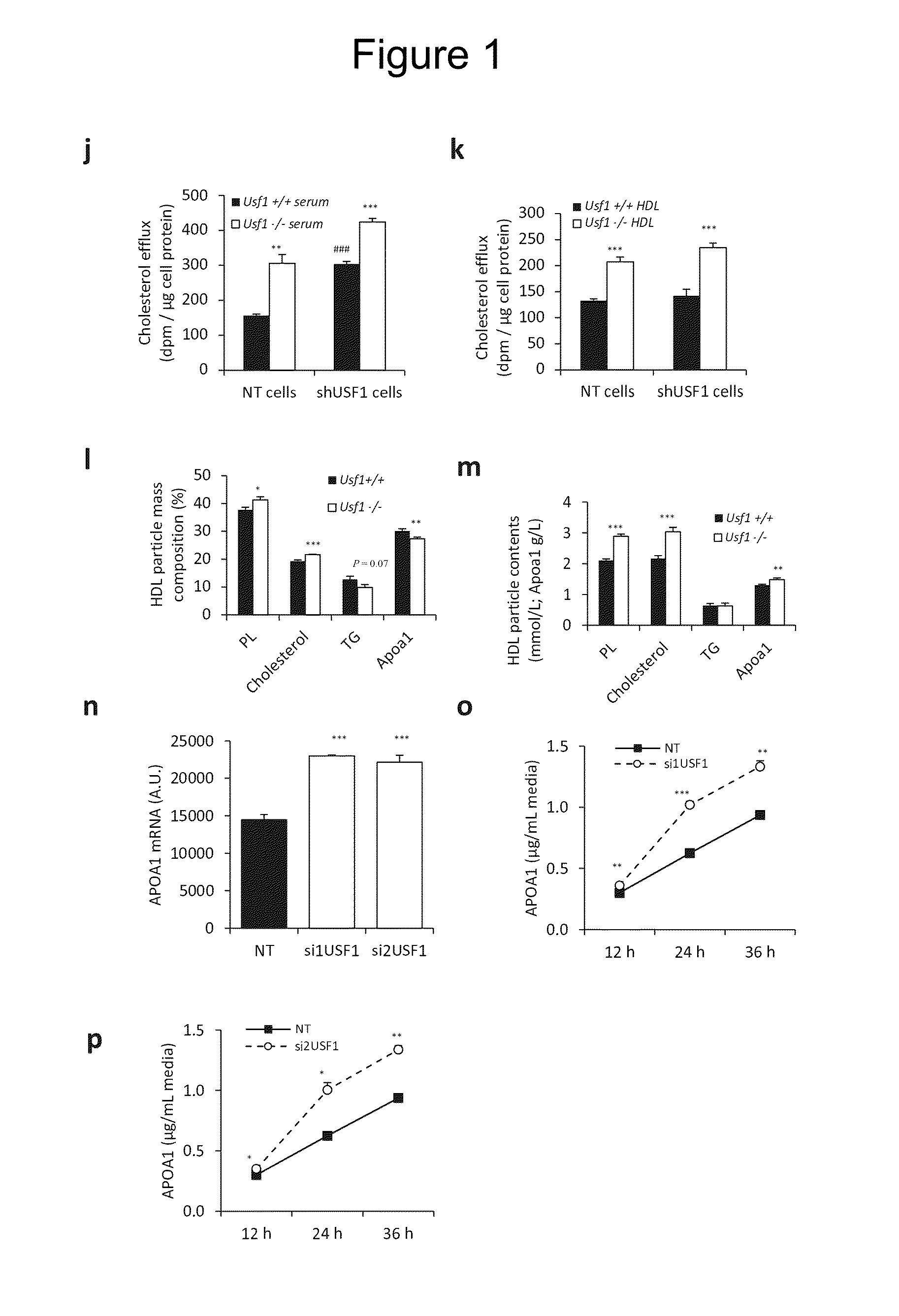 Methods to screen compounds for regulating USF1 activity and methods and compounds to treat cardiometabolic and lipid pathologies