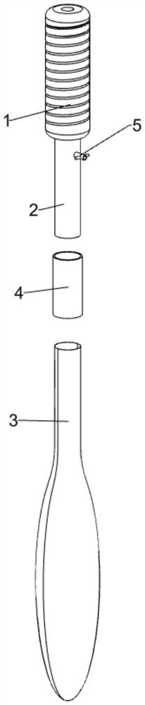 Auxiliary device for scaling fish