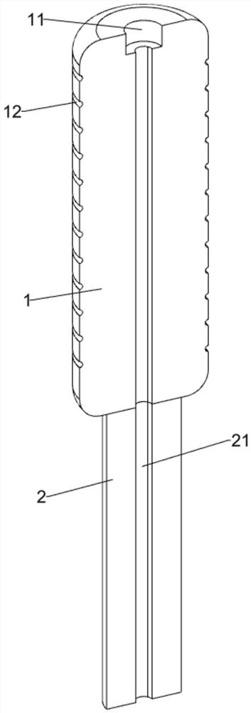 Auxiliary device for scaling fish