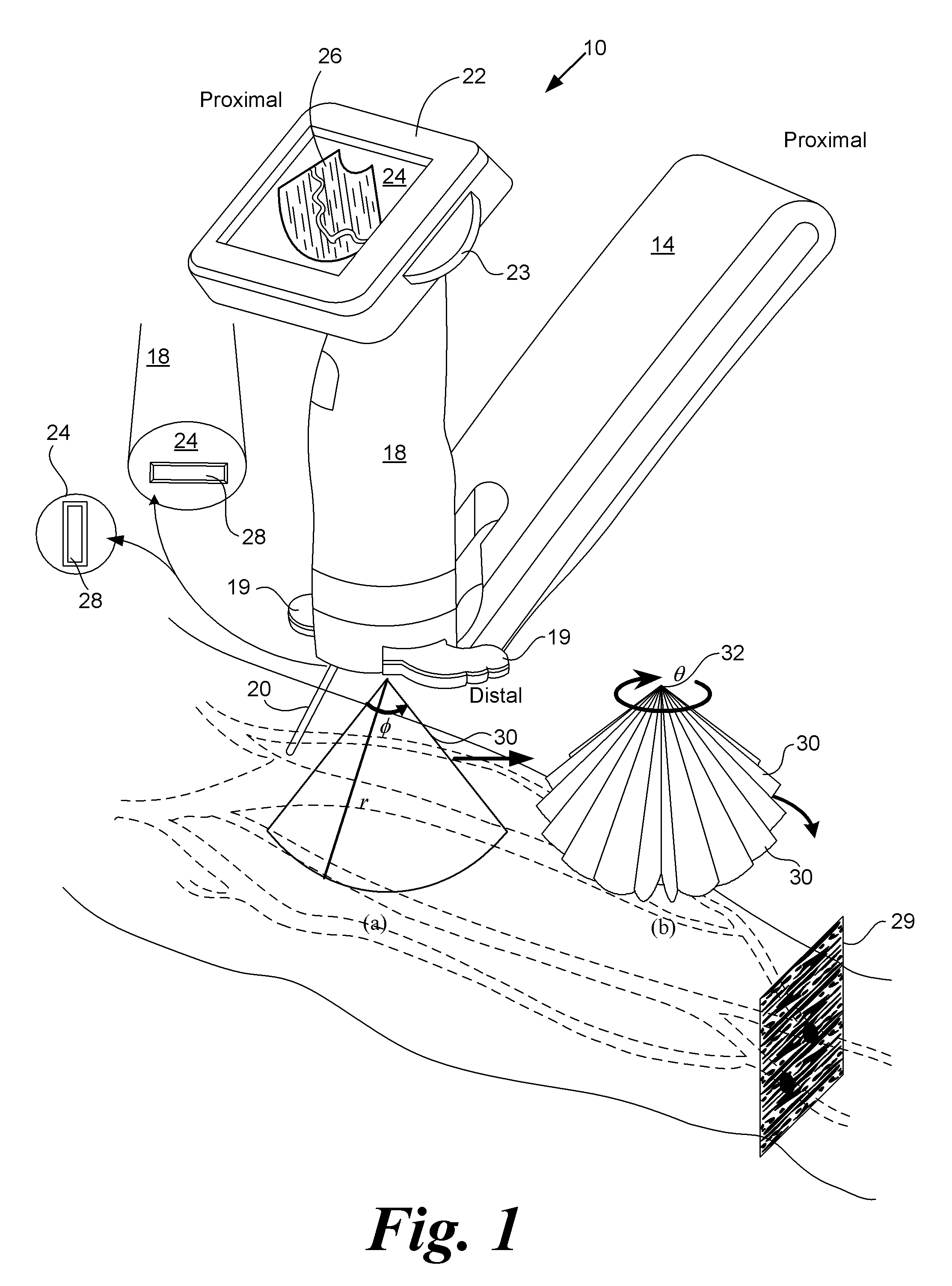 Blood vessel access devices, systems, and methods