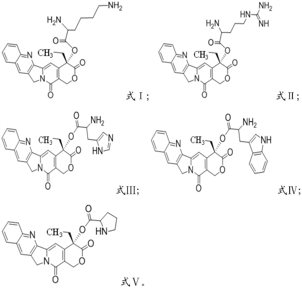 A kind of camptothecin prodrug based on cationic amino acid modification and its preparation method, nano drug-loaded particle and its application