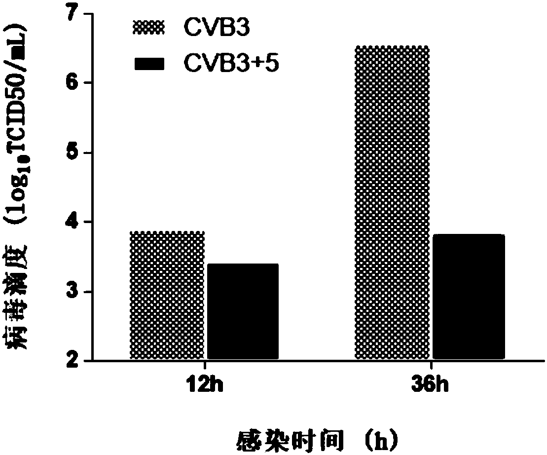 Application of amino acid ester compounds in preparation of anti-CVB3 (anti-coxsackie B virus 3) drugs