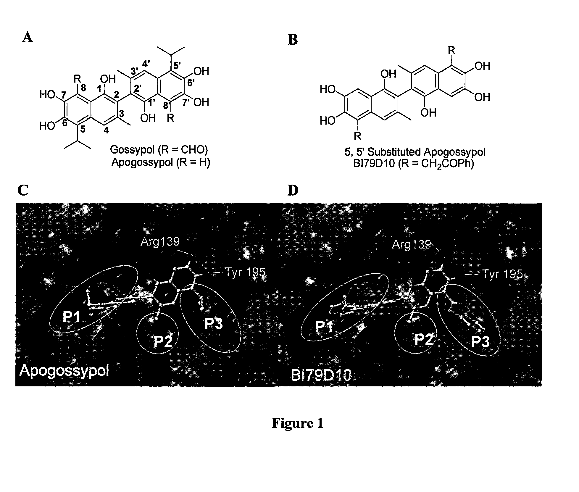 Naphthalene-based inhibitors of anti-apoptotic proteins