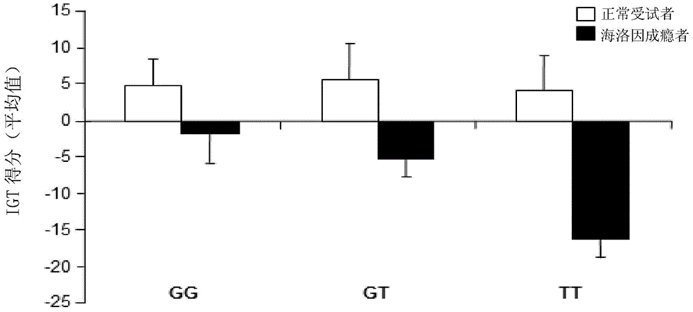 New application of substance for detecting nucleotide at rs1344706 site in ZNF804A gene