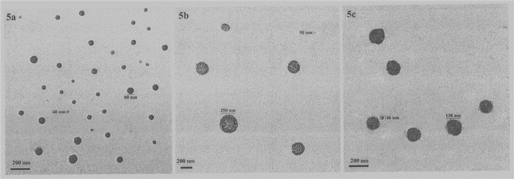 RGD tetrapeptide-modified beta-carboline, preparation, activity and application thereof