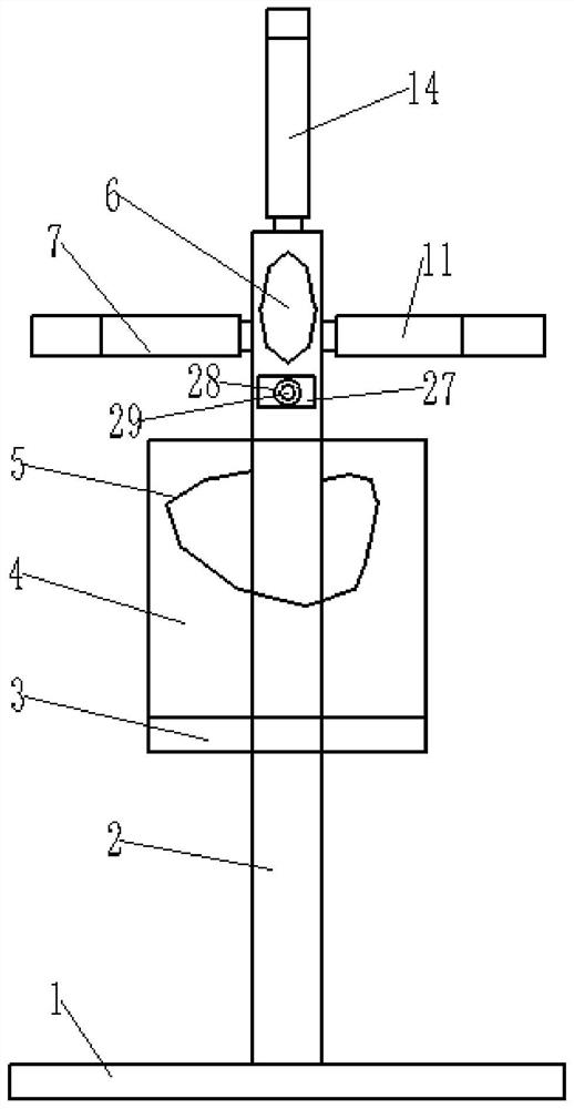 Head, neck and face movement device for hemiplegic patient