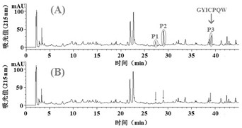 A rapid preparation method of red ray cartilage polypeptide angiogenesis inhibitory factor