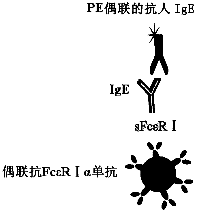 Anti-sFc [epsilon] RI [alpha] monoclonal antibody and application thereof