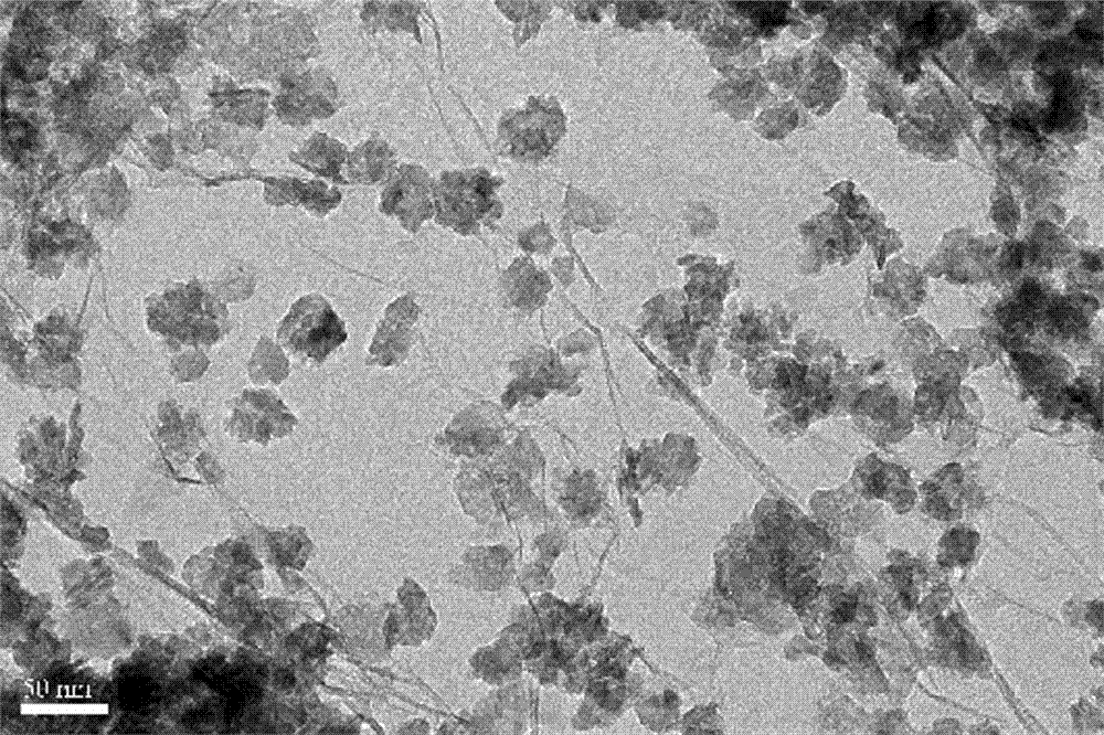 A kind of preparation method of sheet graphene single/multi-loaded noble metal nanoparticles
