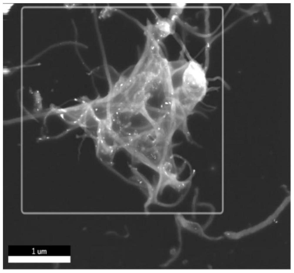 Carbon monoxide releasing material based on carbon nanotubes and preparation method thereof