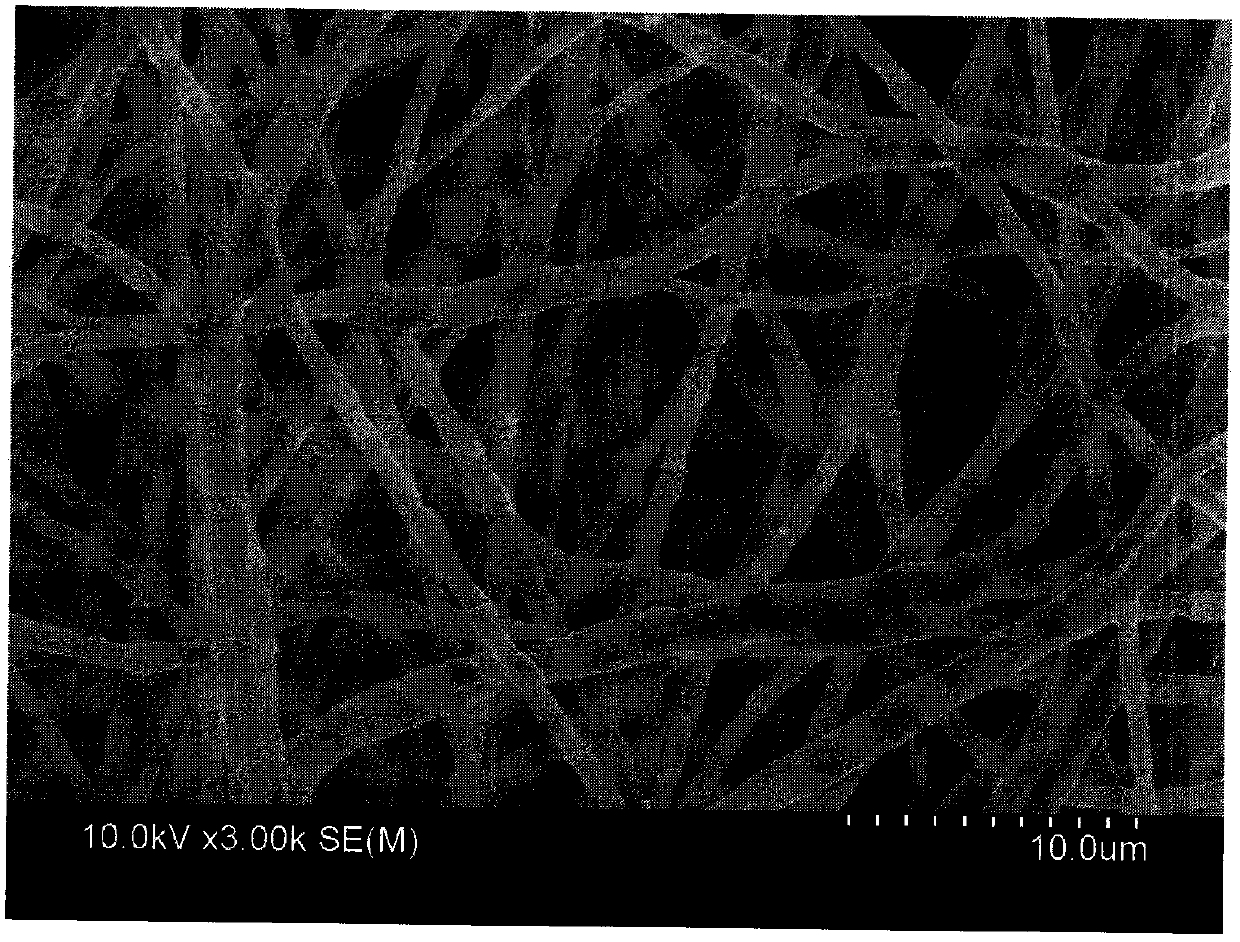 Magnetic cellular porous carbon nanometer fiber@carbon nanotube composite material prepared by carbonization & magnetization & vapor deposition