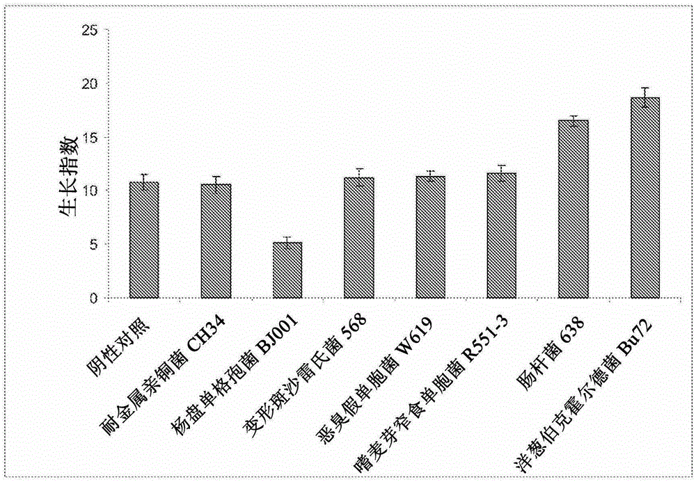 Enterobacter 638 and its application method