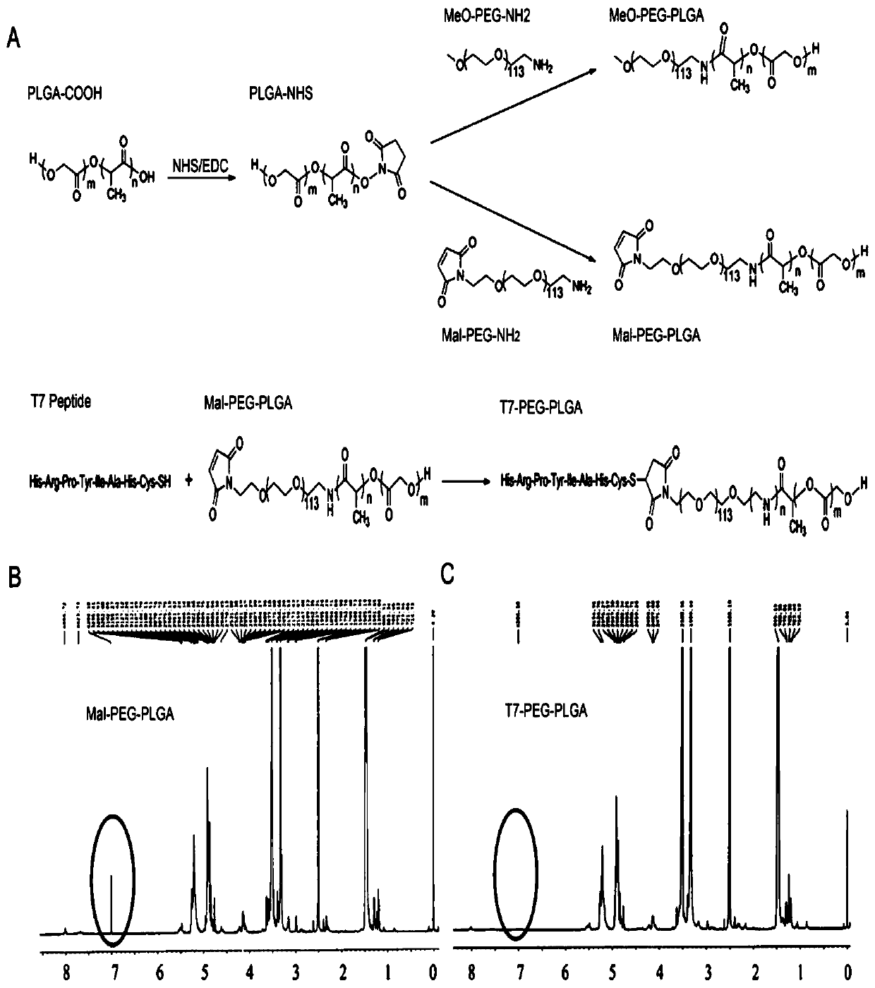 Glioma-targeting polymer micelle loaded with carmustine and preparation method thereof