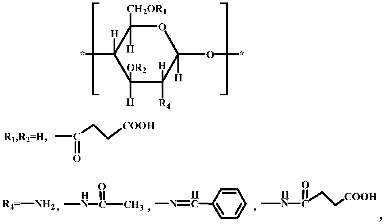 A kind of O-succinate chitosan Schiff base and preparation method thereof