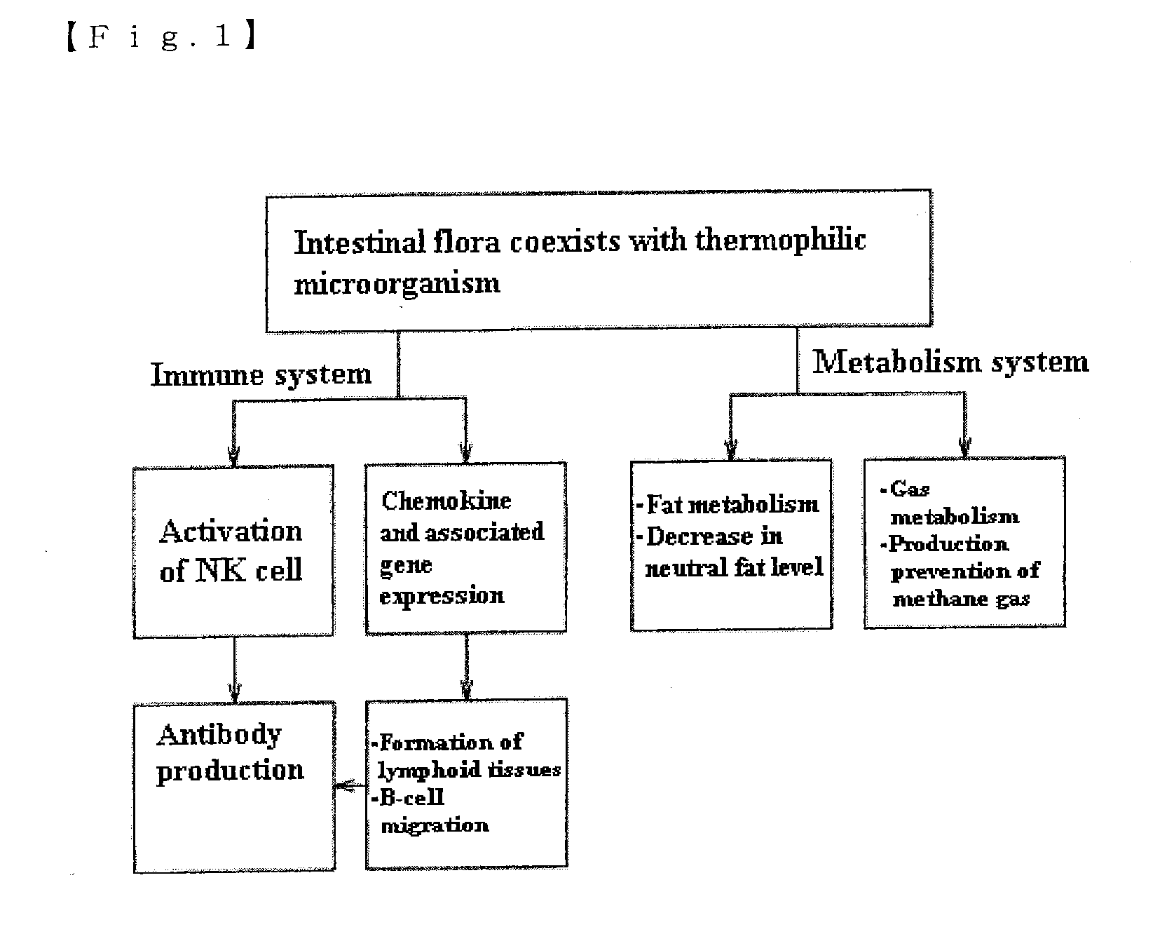 Mixture, dissolving solution and pharmaceutical agent each comprising thermophilic microorganism