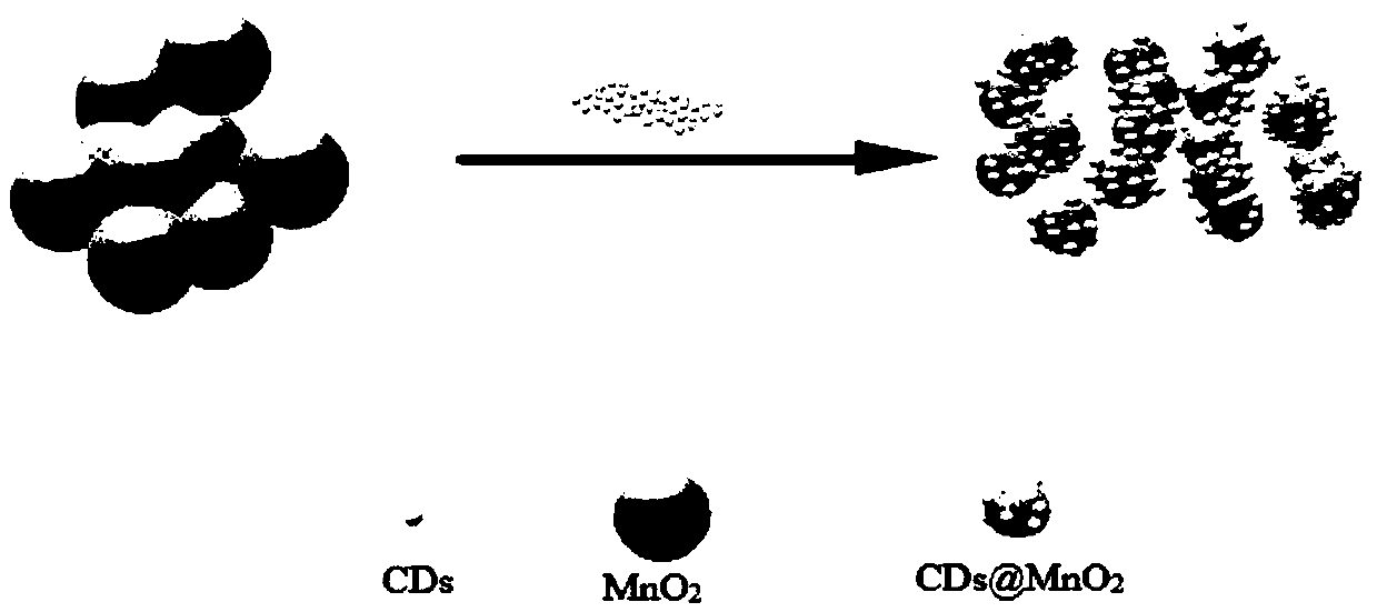 Preparation method and application of N-CDs@delta-MnO2 composite nanomaterial