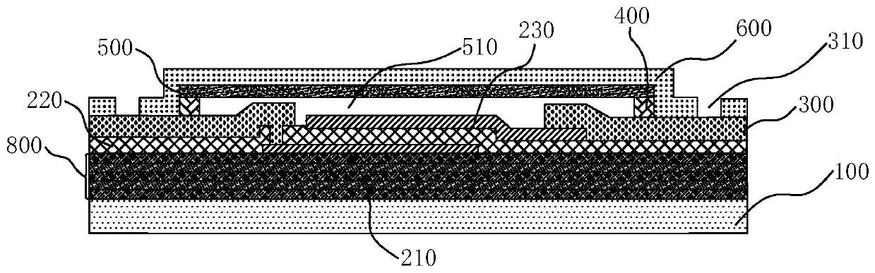 Filter and preparation method thereof