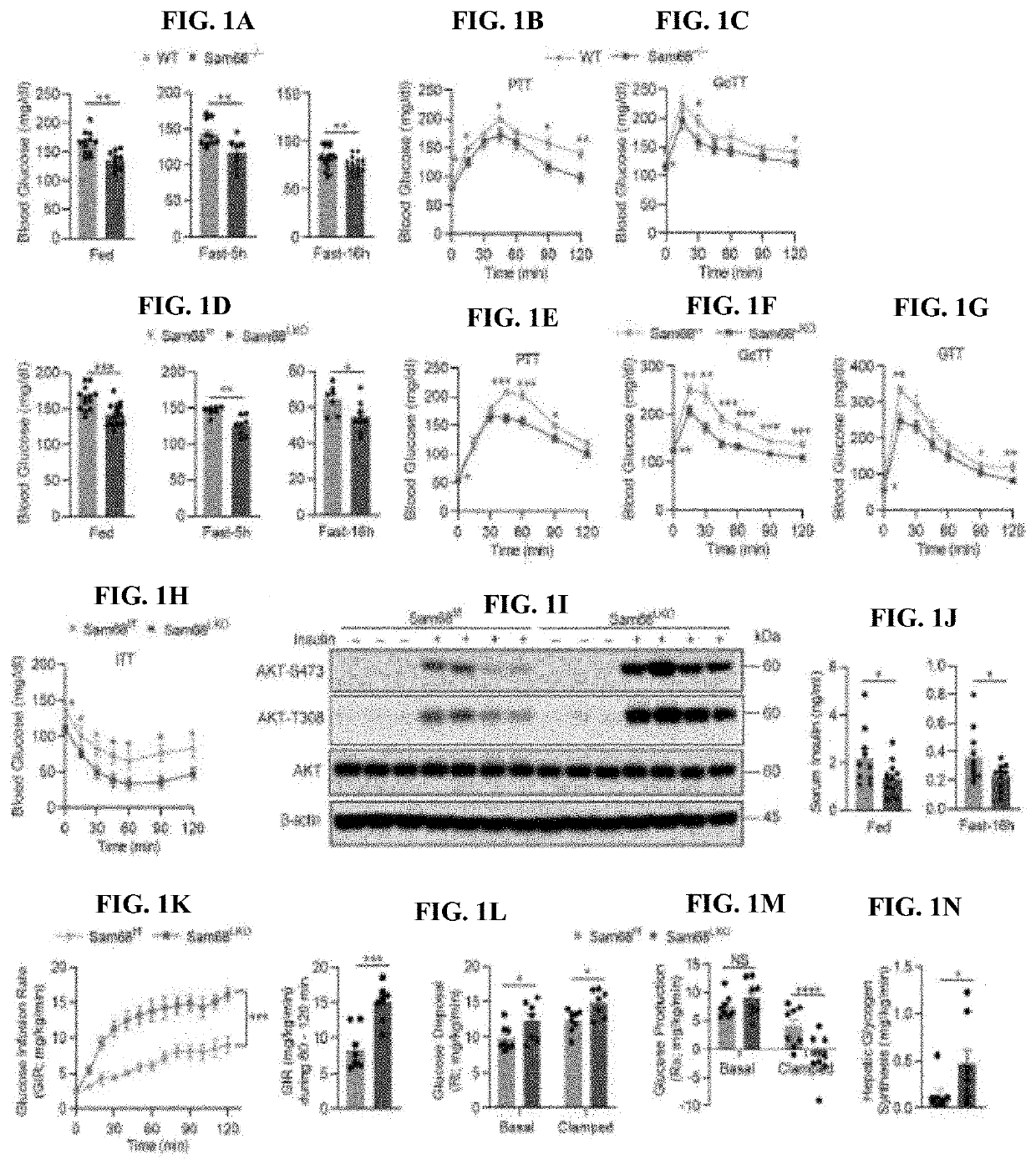 Compositions and methods for treatment of diabetes, obesity, hyper-cholesterolemia, and atherosclerosis by inhibition of sam68