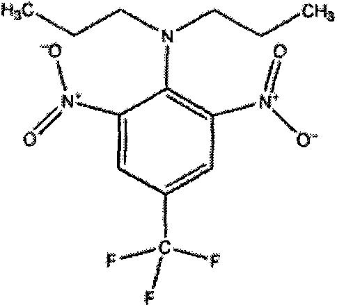 Uniconazole and trifluralin-containing pesticide combination serving as tobacco suckercide