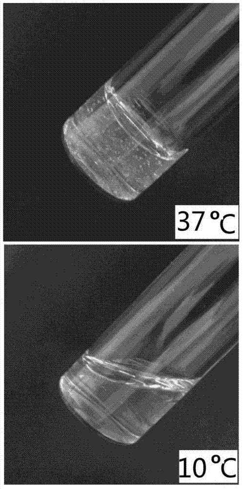 Thermosensitive copolymer as well as synthesis method and hydrogel system of thermosensitive copolymer