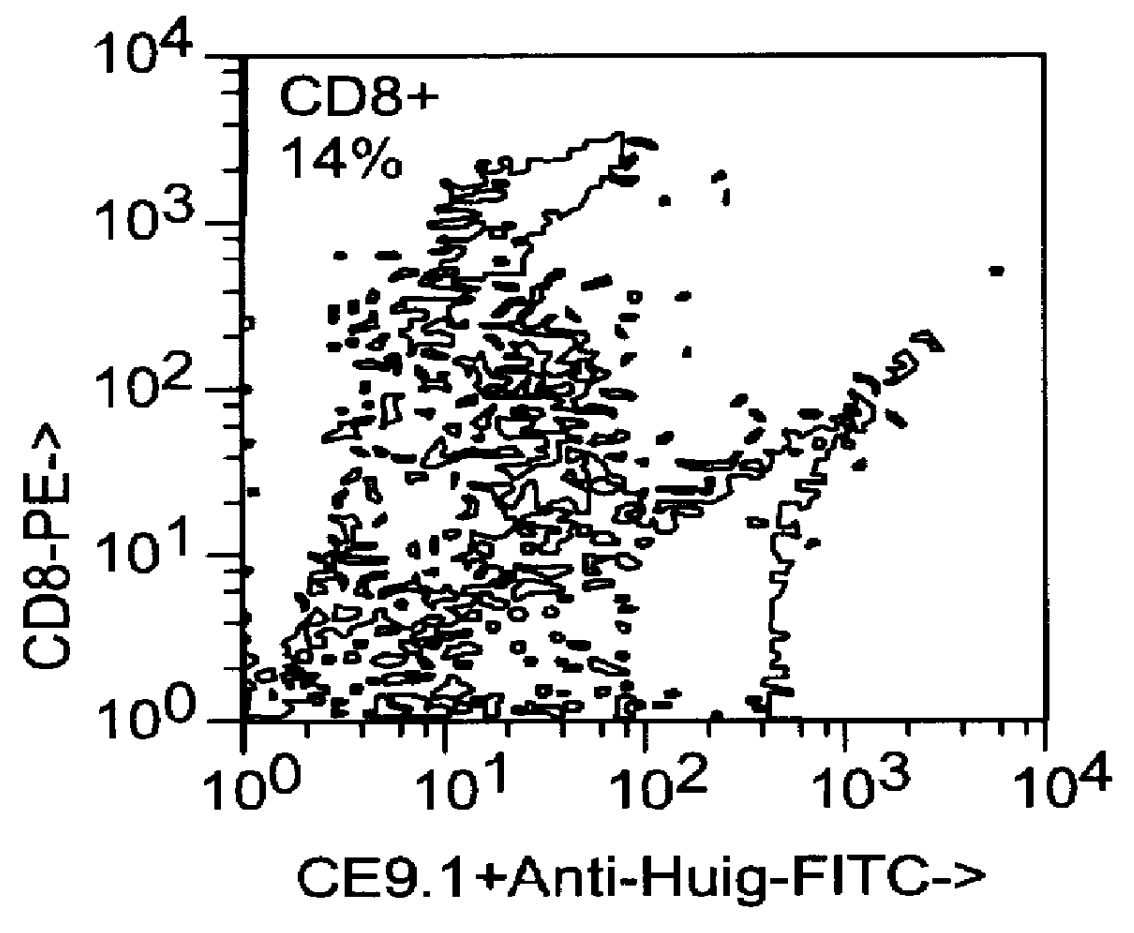 Recombinant anti-CD4 antibodies for human therapy