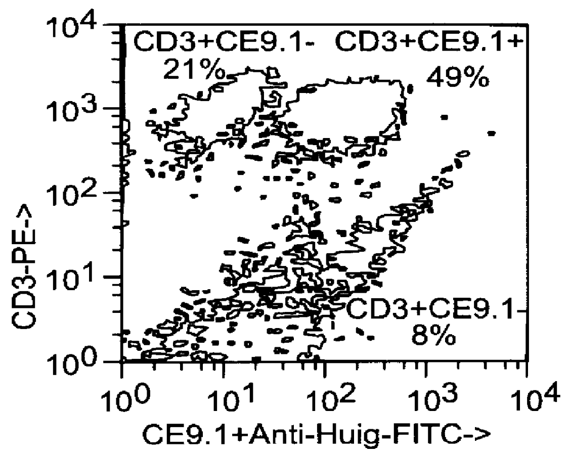 Recombinant anti-CD4 antibodies for human therapy